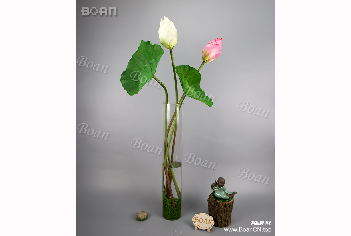 lotus bud(HHH05-1)