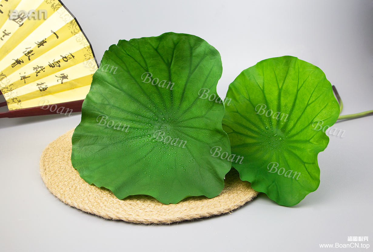 lotus leaf(HHH07-5J)