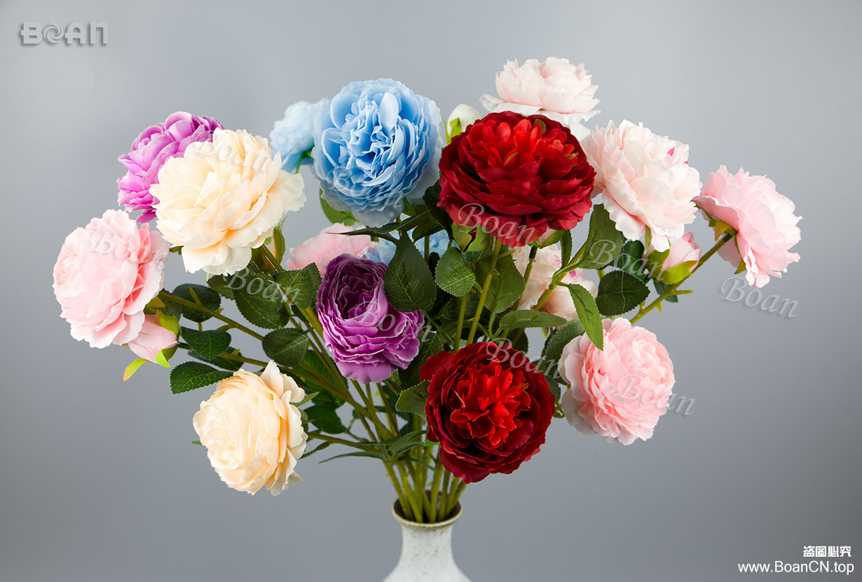 peony(HMD01-1)