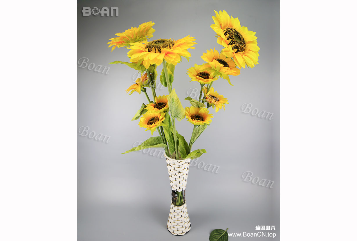 Sunflower(HXRK03-1)