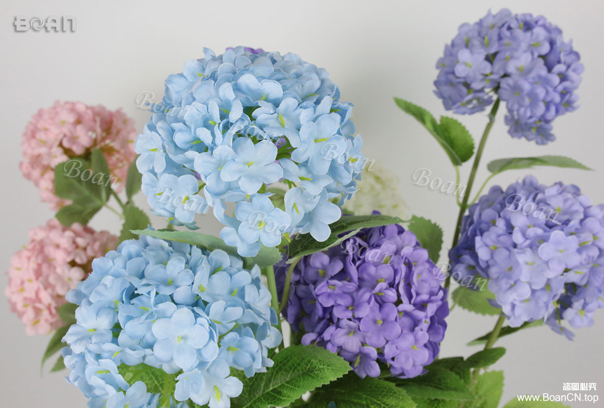 Snow Hydrangea(HXQ06-1)