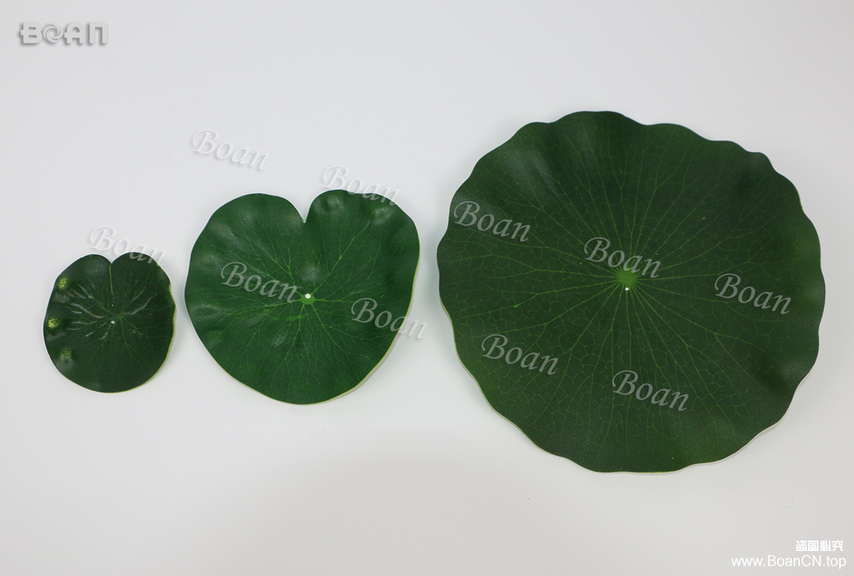 Water lily leaf(HHH08-3)