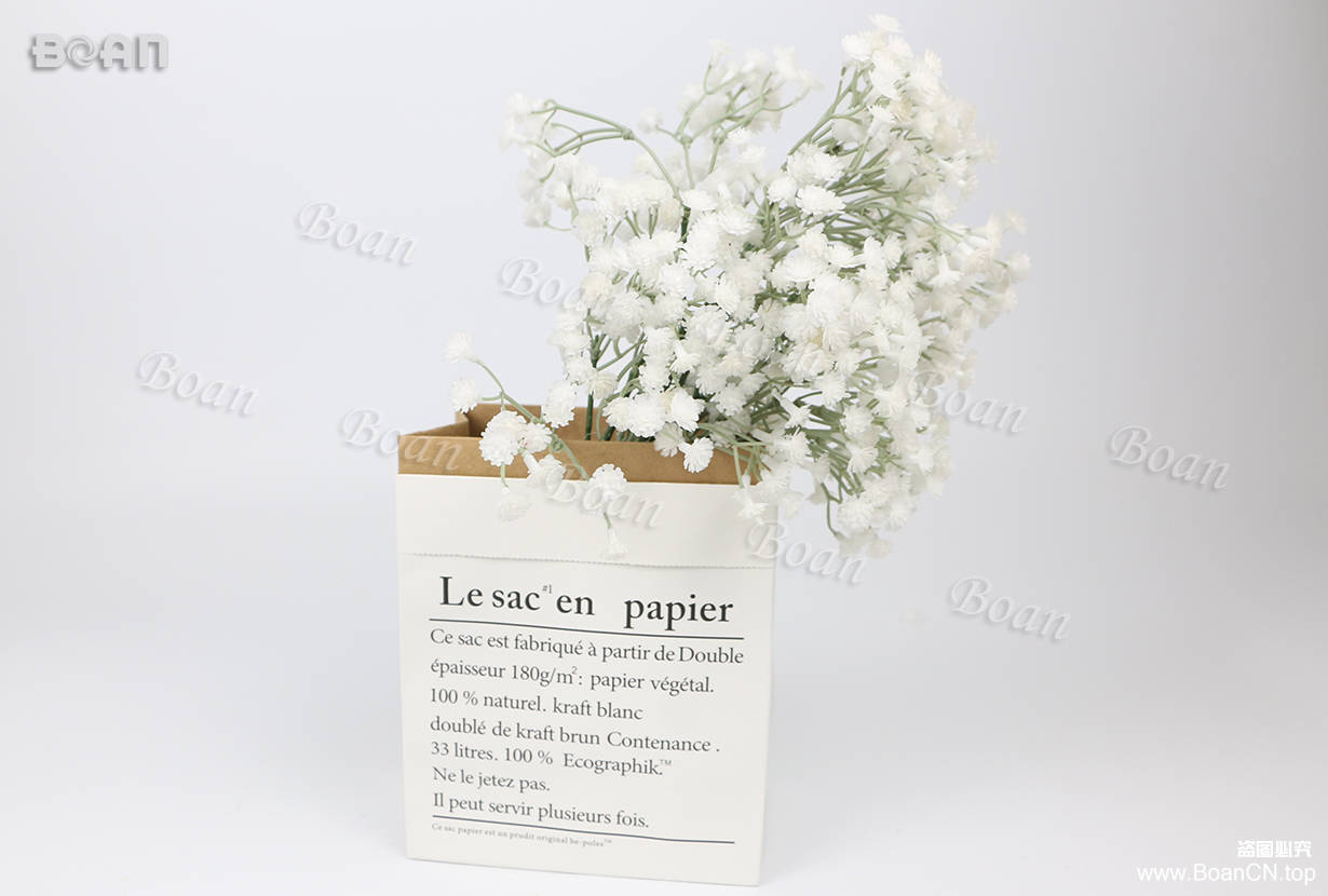 Gypsophila/Baby's breath(HMTX01-2)